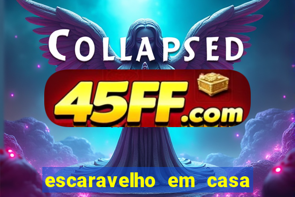 escaravelho em casa significado espiritual